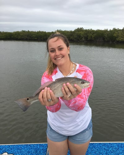Daytona Beach Inshore Slam in Daytona Beach