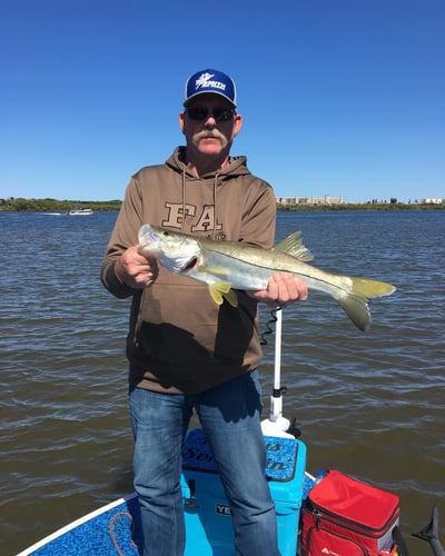 Daytona Beach Inshore Slam in Daytona Beach