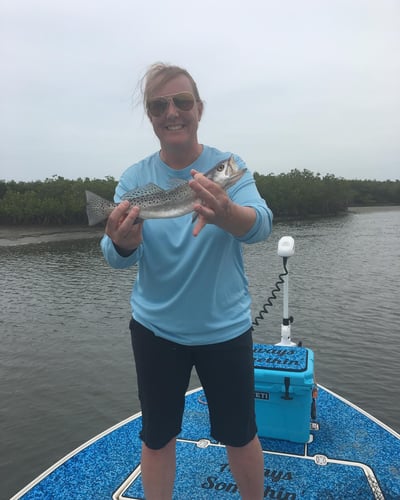 Daytona Beach Inshore Slam in Daytona Beach