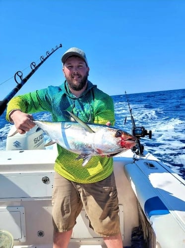 Nearshore Bluefin Special In Sealevel