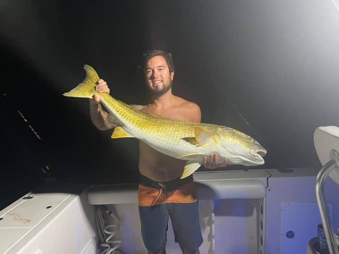 Nighttime Redfish Trip in Sealevel