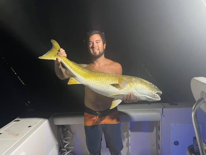 Nighttime Redfish Trip In Sealevel