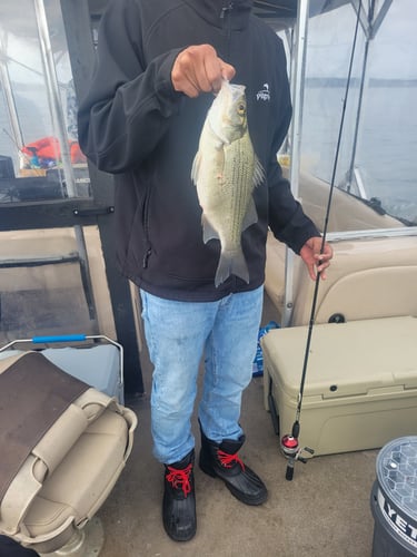 Lake Sam Rayburn Legendary Fishing In Zavalla