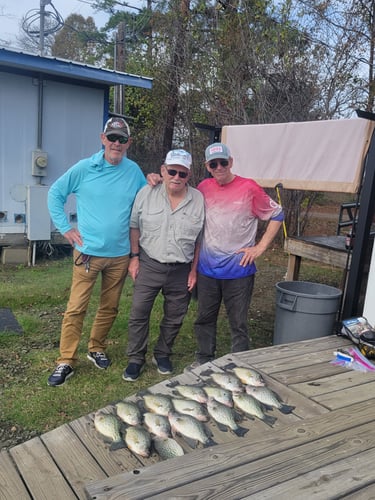 Lake Sam Rayburn Legendary Fishing In Zavalla