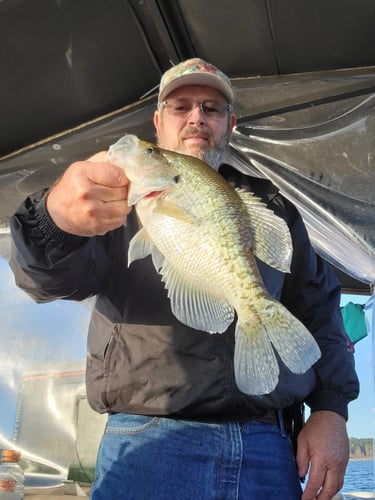 Lake Sam Rayburn Legendary Fishing In Zavalla