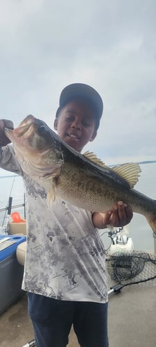 Lake Sam Rayburn Legendary Fishing In Zavalla