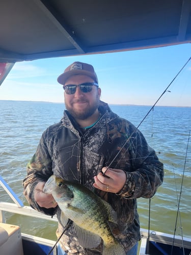 Lake Sam Rayburn Legendary Fishing In Zavalla