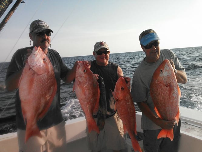 Clearwater Red Snapper Fishing In Clearwater