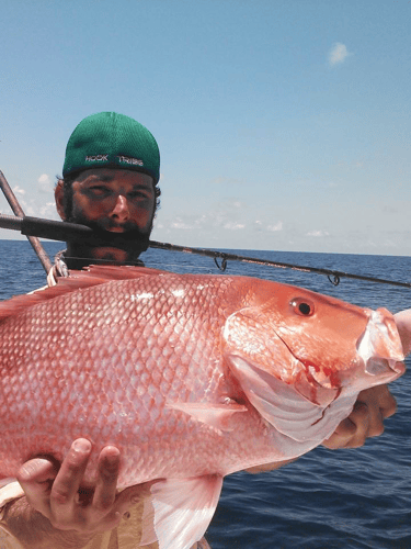 Clearwater Red Snapper Fishing In Clearwater