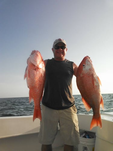 Clearwater Red Snapper Fishing In Clearwater
