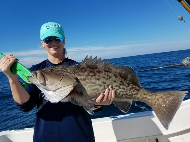 Clearwater Nearshore Hop - 22’ Dusky In Clearwater