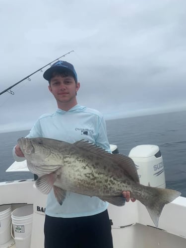 Clearwater Offshore Reefs & Wrecks In Clearwater