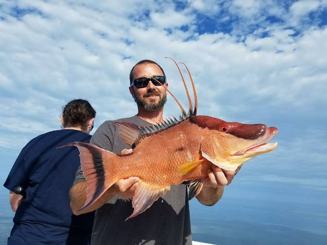 Clearwater Nearshore Hop - 22’ Dusky In Clearwater