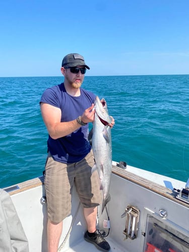 Trophy Trout And Salmon Trolling In Oswego