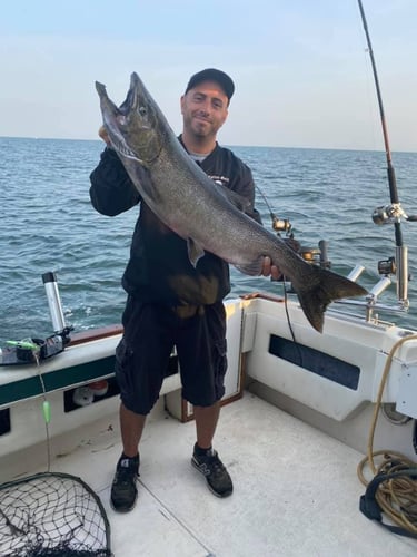 Trophy Trout And Salmon Trolling In Oswego