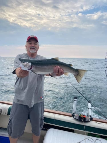 Trophy Trout And Salmon Trolling In Oswego