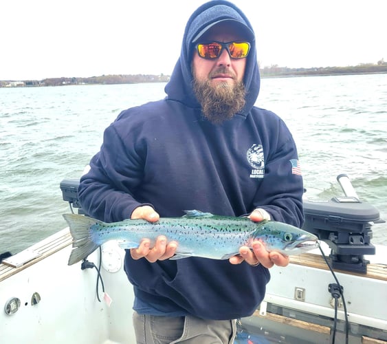 Trophy Trout And Salmon Trolling In Oswego