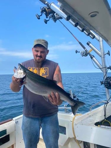 Trophy Trout And Salmon Trolling In Oswego