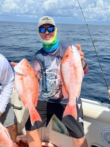 Limits And Trophies 80 Miles Offshore In Marco Island