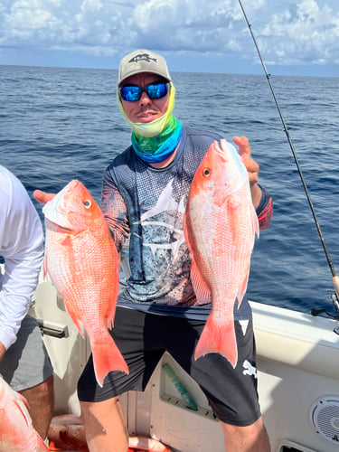 Limits And Trophies 50-80 Miles Offshore In Marco Island