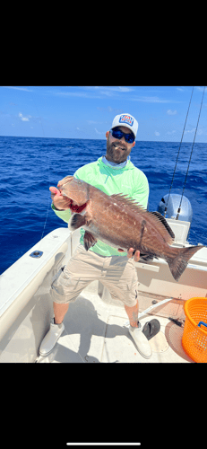 Limits And Trophies 80 Miles Offshore In Marco Island