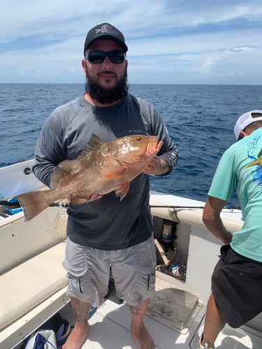 Limits And Trophies 40-80 Miles Offshore In Marco Island