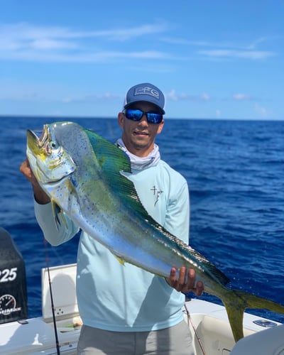 Limits And Trophies 80 Miles Offshore In Marco Island