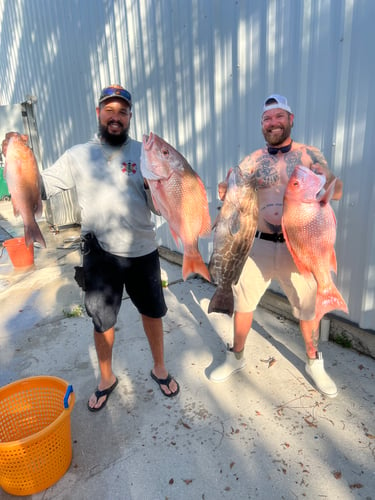 Limits And Trophies 50-80 Miles Offshore In Marco Island