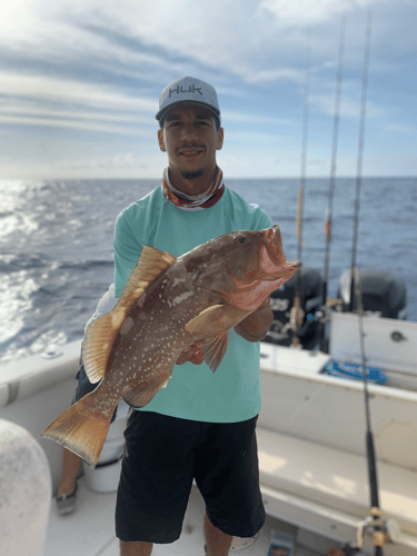 Limits And Trophies 80 Miles Offshore In Marco Island