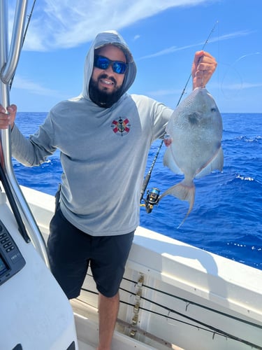Limits And Trophies 80 Miles Offshore In Marco Island