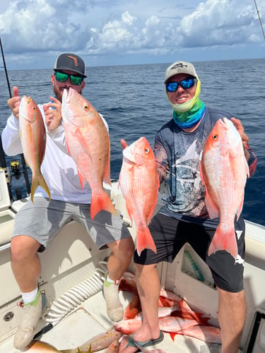 Limits And Trophies 40-80 Miles Offshore In Marco Island