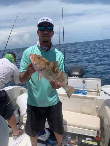 Limits And Trophies 50-80 Miles Offshore In Marco Island