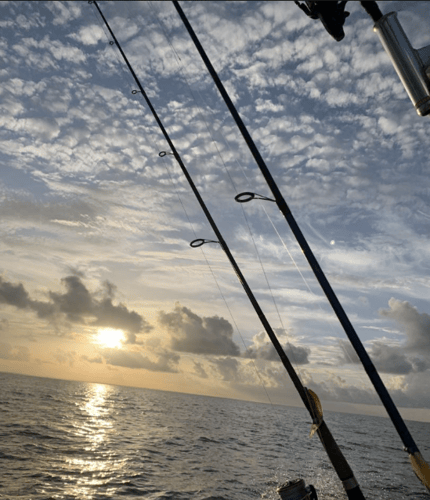 Lake Toho Bass Hook-Up In Biloxi