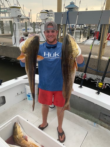 Redfish & Kingfish Trolling Trip In Biloxi