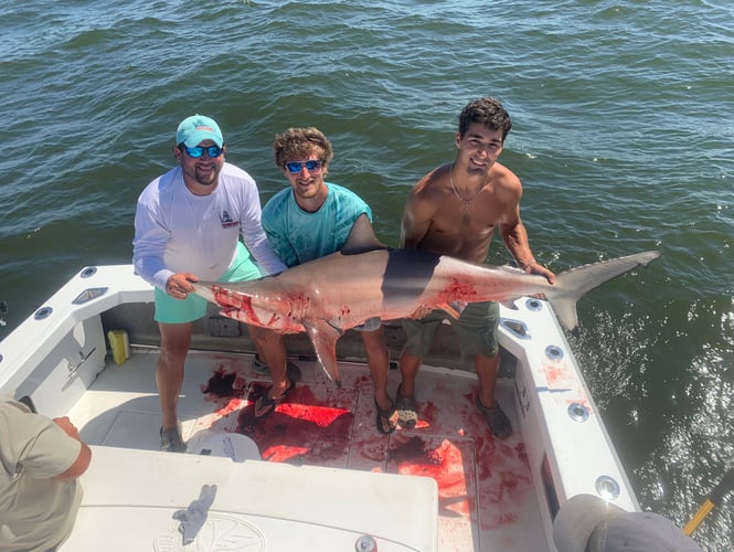 Redfish & Kingfish Trolling Trip In Biloxi