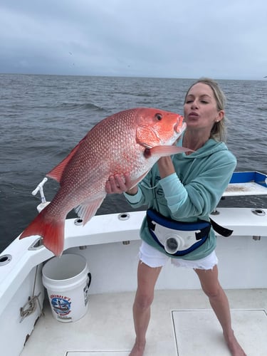 Red Snapper Fishing Trip In Biloxi