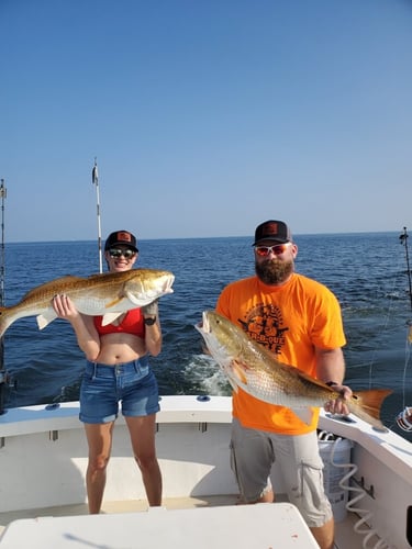 Redfish & Kingfish Trolling Trip In Biloxi