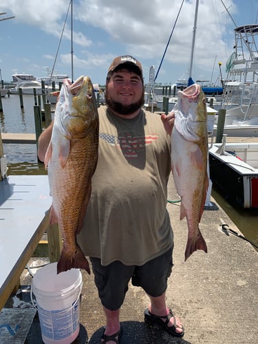 Redfish & Kingfish Trolling Trip In Biloxi