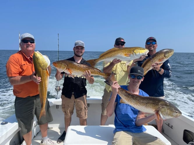 Redfish & Kingfish Trolling Trip In Biloxi