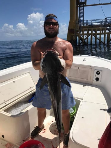 Redfish & Kingfish Trolling Trip In Biloxi