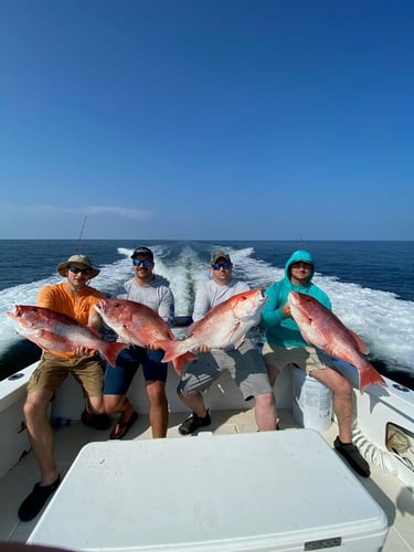 Red Snapper Fishing Trip In Biloxi