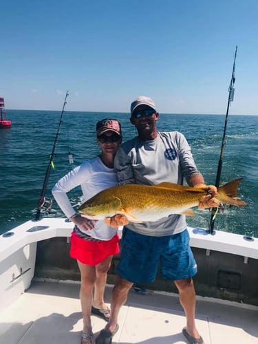 Redfish & Kingfish Trolling Trip In Biloxi