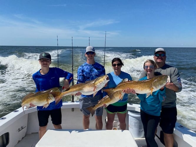 Redfish & Kingfish Trolling Trip In Biloxi