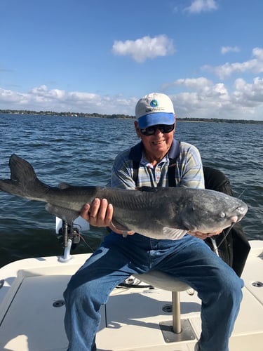 Big Ol' Flathead Catfish Catch In Livingston