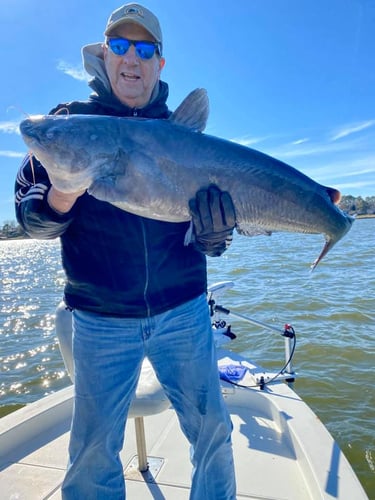 Big Ol' Flathead Catfish Catch In Livingston