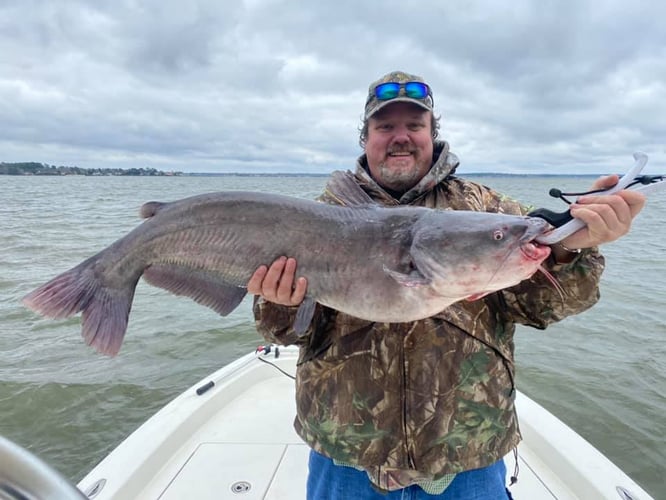 Big Ol' Flathead Catfish Catch In Livingston