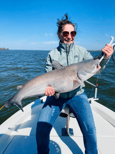 Big Ol' Flathead Catfish Catch In Livingston