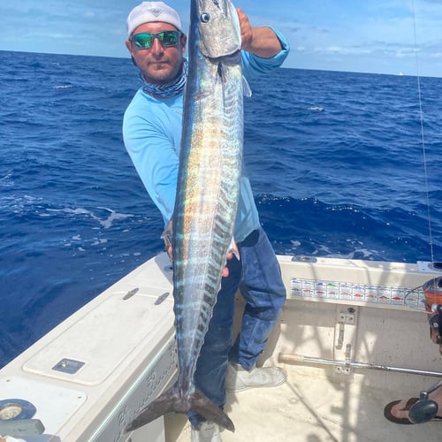 Miami Sport Fishing In Miami Beach