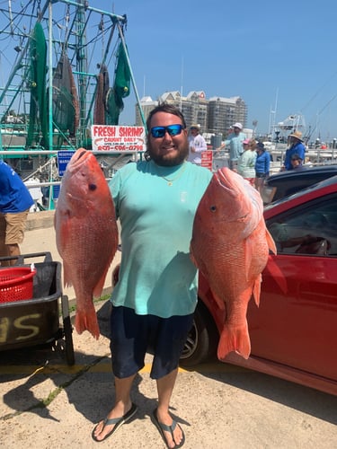 Miami Sport Fishing. In Miami Beach