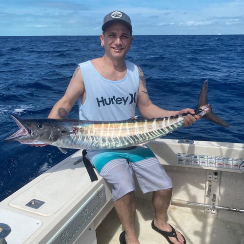 Miami Sport Fishing. In Miami Beach